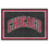 Chicago Bulls 5ft. x 8 ft. Plush Area Rug