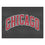 Chicago Bulls All-Star Rug - 34 in. x 42.5 in.