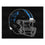 Carolina Panthers All-Star Rug - 34 in. x 42.5 in.