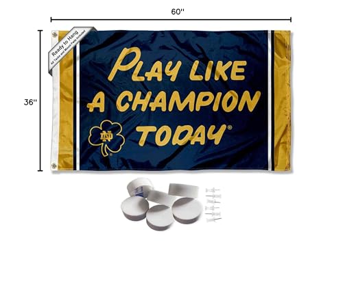 College Flags & Banners Co. Irish Play Like a Champion Banner and Tapestry Wall Tack Pads