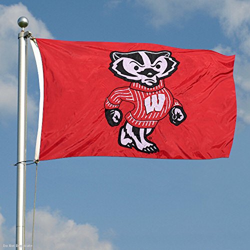 College Flags & Banners Co. Wisconsin Badgers Embroidered and Stitched Nylon Flag