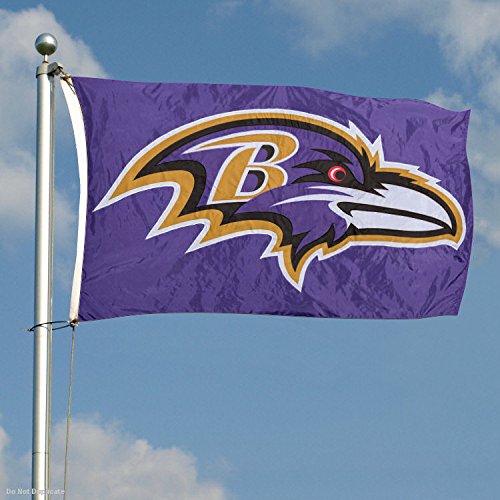 WinCraft Baltimore Ravens Embroidered Nylon Flag