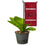 College Flags & Banners Co. Arkansas Razorbacks Mini Garden and Flower Pot Flag Topper