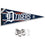 Detroit Tigers Pennant Banner and Wall Tack Pads