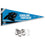 Carolina Panthers Pennant Banner and Wall Tack Pads