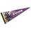 WinCraft Minnesota Vikings Cook Pennant Banner Flag