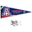 College Flags & Banners Co. Arizona Wildcats Pennant Flag and Wall Tack Mount Pads