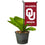 College Flags & Banners Co. Oklahoma Sooners Mini Garden and Flower Pot Flag Topper