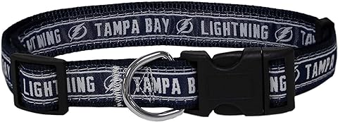 Tampa Bay Lightning Dog Collar Pets First