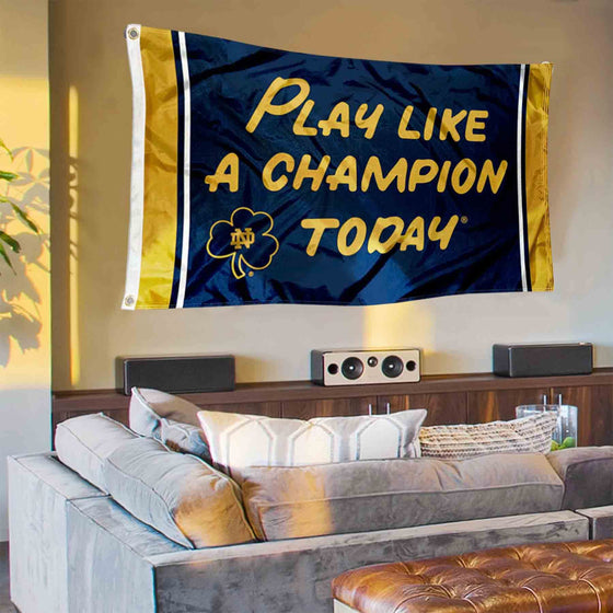 College Flags & Banners Co. Irish Play Like a Champion Banner and Tapestry Wall Tack Pads