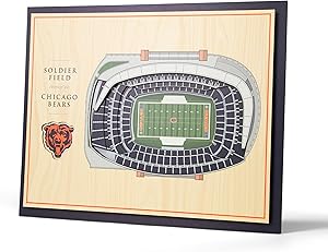 NFL Chicago Bears 5-Layer Stadiumviews 3D Wall Art