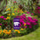 College Flags & Banners Co. Kansas State Wildcats Mini Garden and Flower Pot Flag Topper