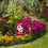 College Flags & Banners Co. Oklahoma Sooners Mini Garden and Flower Pot Flag Topper