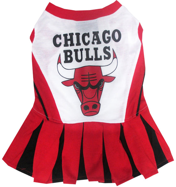 Chicago Bulls Cheerleader Dress