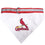 St. Louis Cardinals Collar Bandana Pets First