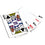 New York Giants 300 Piece Poker Set - 757 Sports Collectibles
