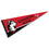 College Flags & Banners Co. Northeastern University Pennant Full Size Felt - 757 Sports Collectibles