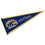 College Flags & Banners Co. Kent State Pennant Full Size Felt - 757 Sports Collectibles