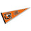 College Flags & Banners Co. RIT Tigers Pennant - 757 Sports Collectibles