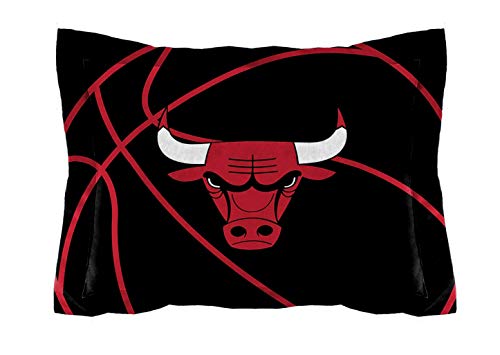 NORTHWEST NBA Chicago Bulls Comforter and Sham Set, Twin, Reverse Slam - 757 Sports Collectibles