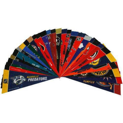 NHL Mini 8" Pennant Set (Contains All 30 Teams) - 757 Sports Collectibles