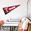 College Flags & Banners Co. Troy University Pennant Full Size Felt - 757 Sports Collectibles