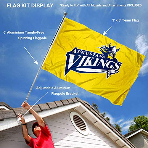  Illinois Fighting Illini Large New Logo 3x5 College Flag :  Sports & Outdoors