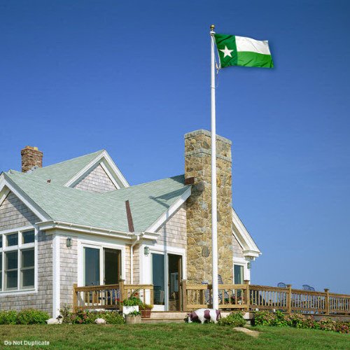 College Flags & Banners Co. North Texas Mean Green UNT Texas State Flag - 757 Sports Collectibles