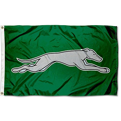 College Flags & Banners Co. Eastern New Mexico Greyhounds Flag - 757 Sports Collectibles