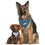 Philadelphia Eagles Reversible Bandana Pets First - 757 Sports Collectibles