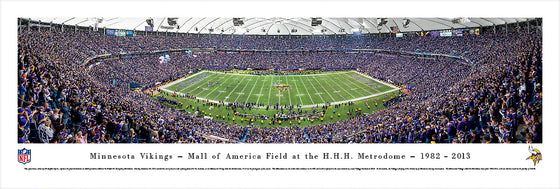 Minnesota ViKings - Final Game at the Metrodome - Unframed