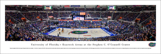 Florida Gator Basketball - unframed - 757 Sports Collectibles